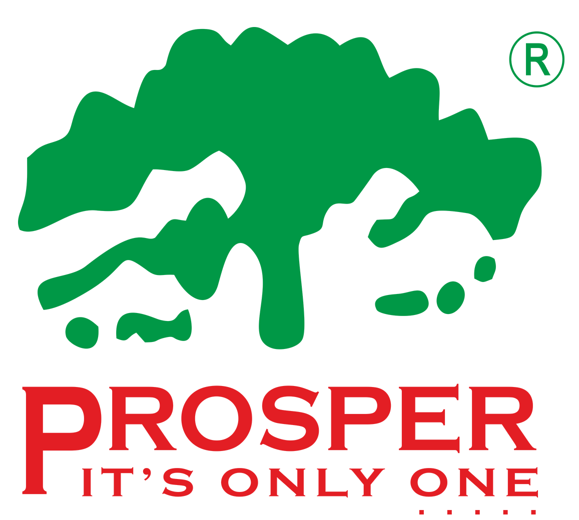 Prosper Group Logo